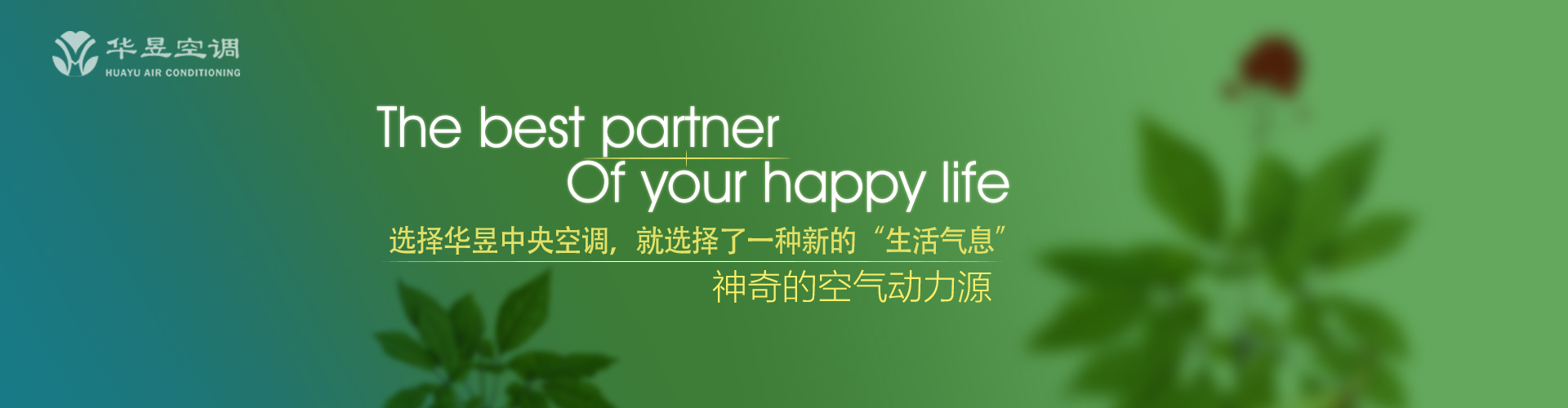 大庭广众网